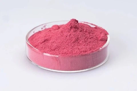 Waxberry Powder Waxberry Powder